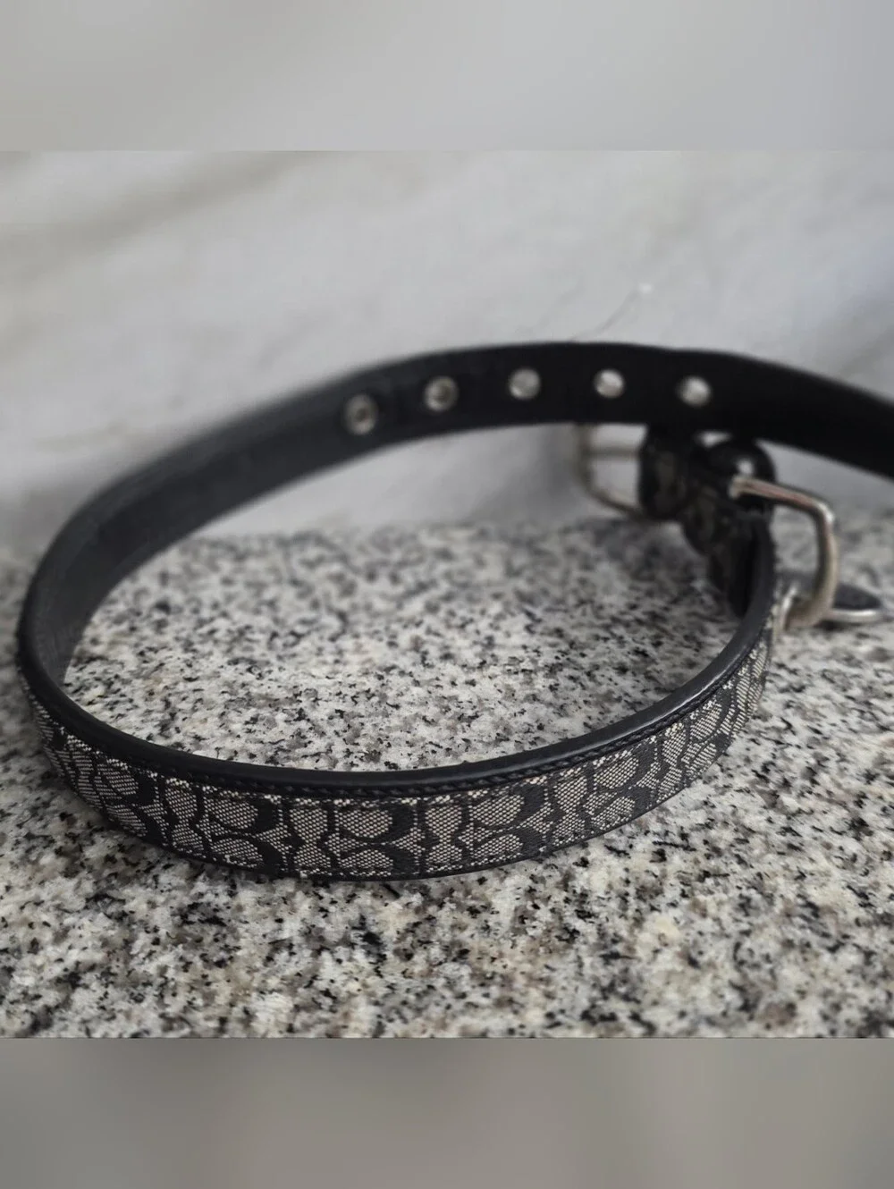 Authentic Coach Signature Black Gray Logo Dog Cat Pet Collar 4003 Medium Retired